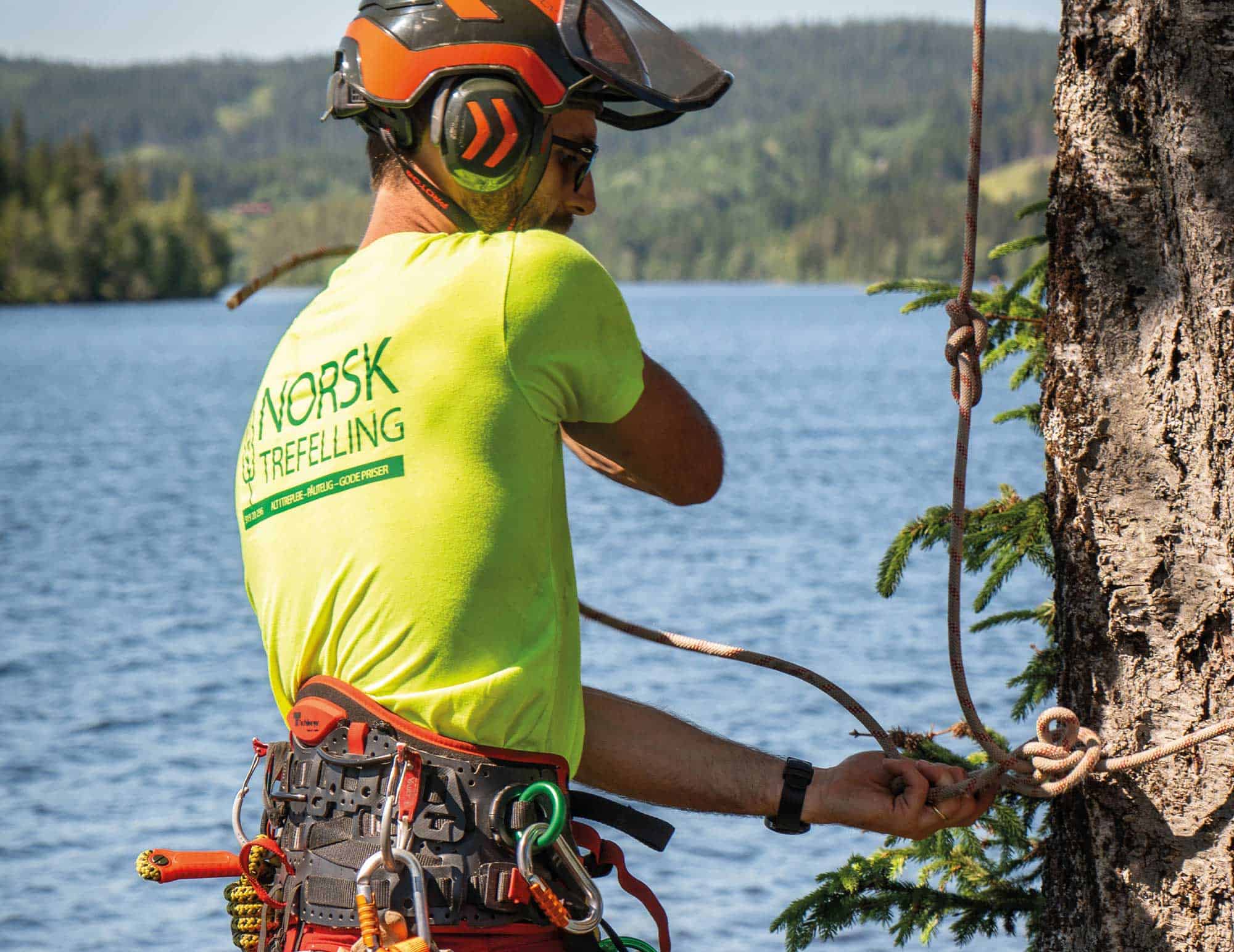 Norsk Trefelling-ansatt sikrer tau rundt tre for trygg trepleie ved innsjø.