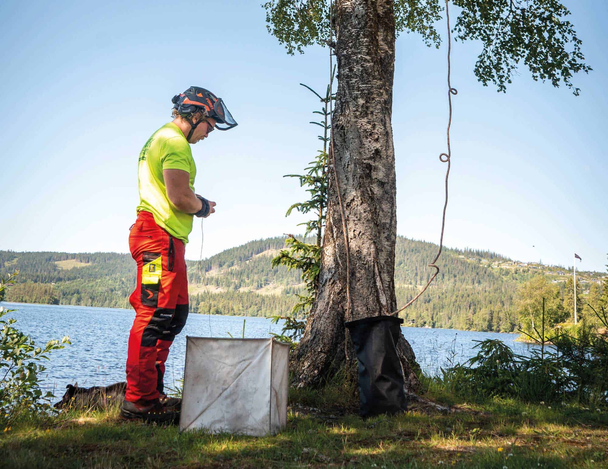 Ansatt fra Norsk Trefelling forbereder trepleieutstyr ved tre nær vann.