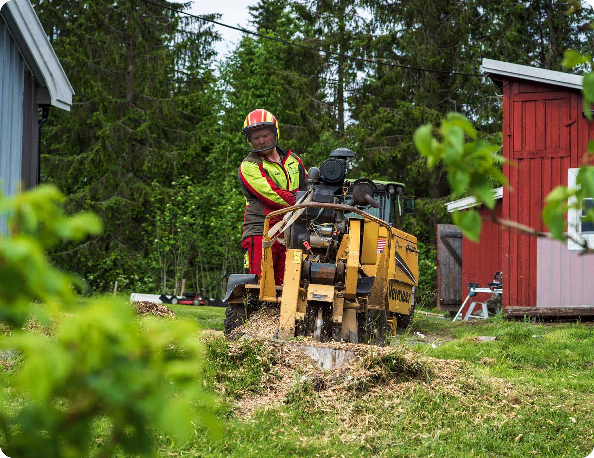 Ansatt fra Norsk Trefelling bruker stubbefreser for å fjerne trestubbe ved rød bygning.
